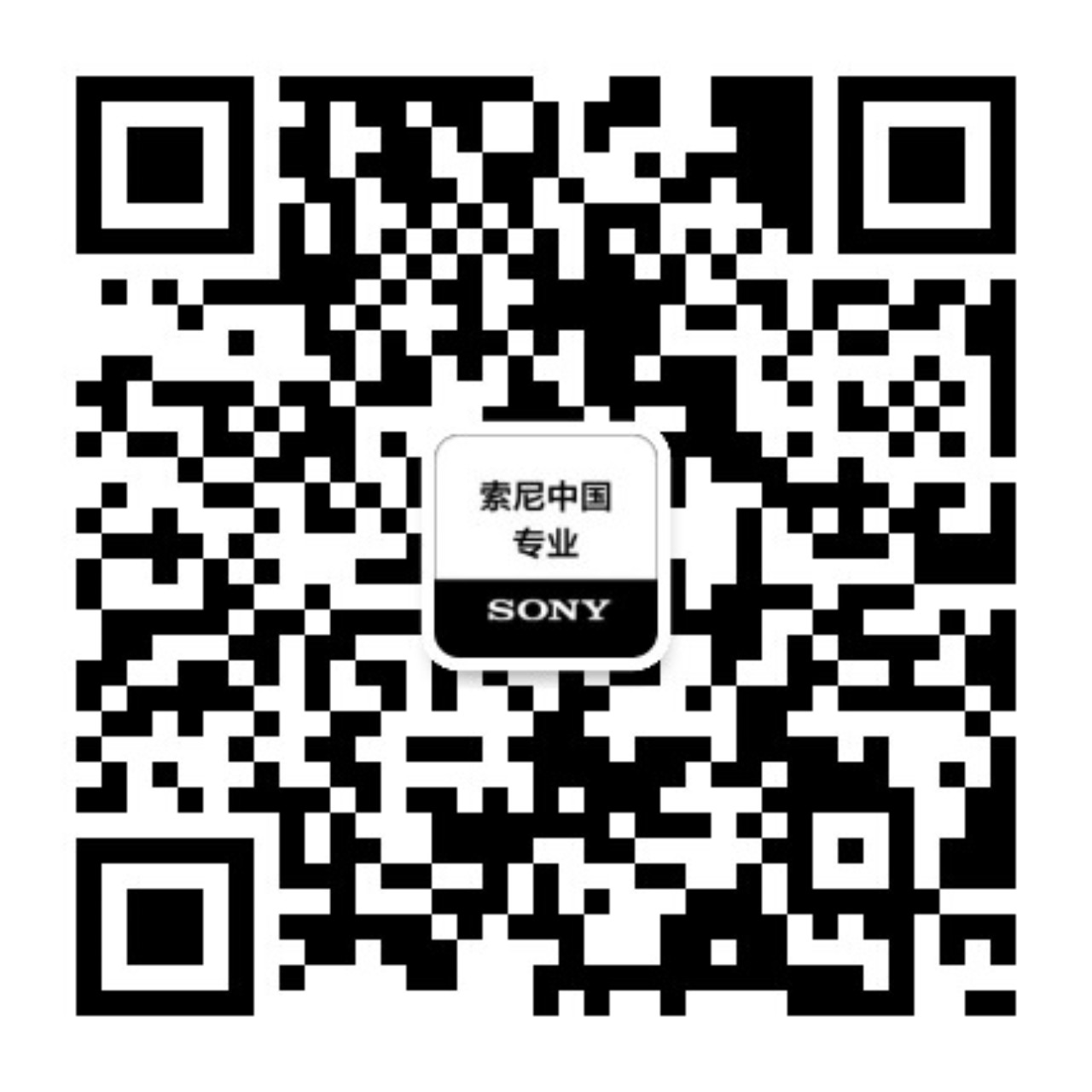 索尼中国 专业