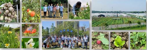 协生农园@无锡、苏州、惠州