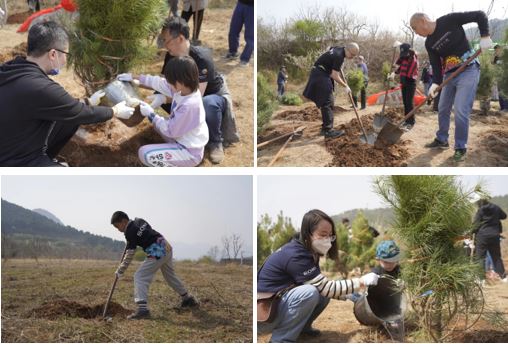志愿者植树组图