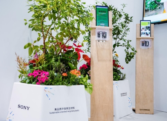 协生农法展示区