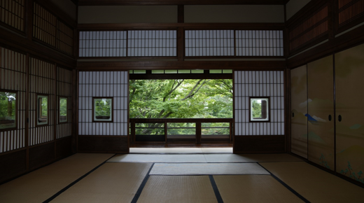 Alpha 7S III；FE 24-70mm F2.8 GM；1/50s；F4.0；ISO 200