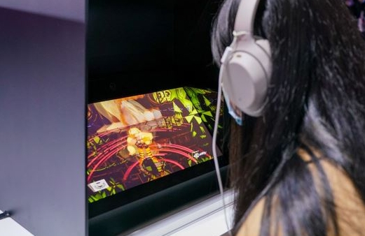 空间现实显示屏（Spatial Reality Display）