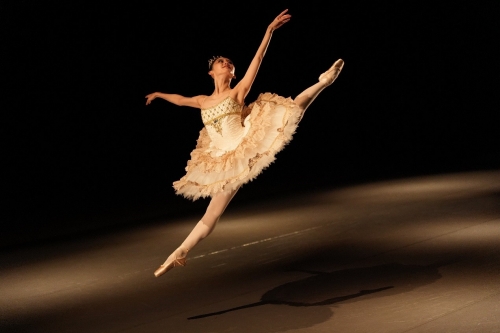 Alpha 9 III+FE28-70mm F2 GM F2,1/2500s,ISO 3200