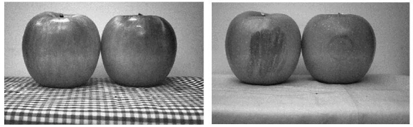 (左:可见光;右:短波红外线)切换光源以获得苹果的表皮和皮下图像信息